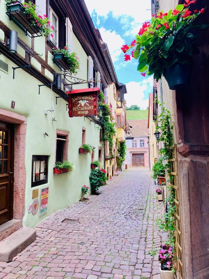 ריקוויר La Ruelle Alsacienne, Charme Alsacien Et Confort Moderne מראה חיצוני תמונה