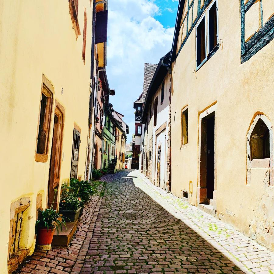 ריקוויר La Ruelle Alsacienne, Charme Alsacien Et Confort Moderne מראה חיצוני תמונה